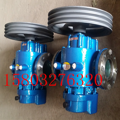 ZGLC38/0.6鑄鋼保溫羅茨泵